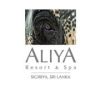 Aliya Resort