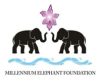 MILLENNIUM ELEPHANT FOUNDATIONKK