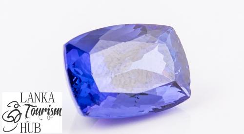 Blue Sapphire Gems (8)